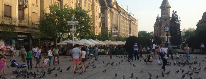 Strada Alba Iulia is one of Romania 2014.