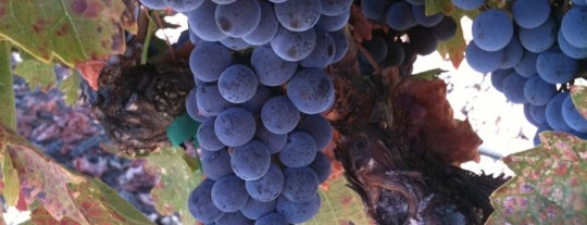 Summers Estate Wines is one of Wineries / Vineyards.