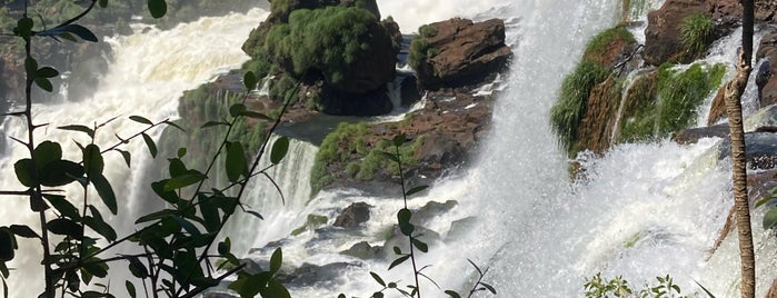 El Árbol Real is one of Iguazú.