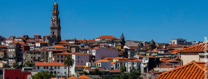 Порту is one of Norte de Portugal.
