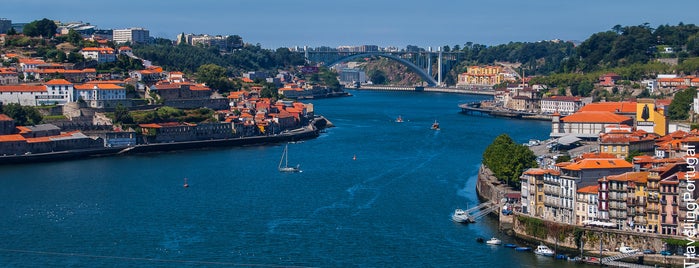 Rio Douro is one of Norte de Portugal.