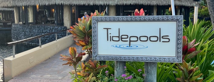 Tidepools is one of Hawaii Spots.