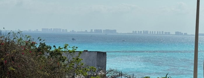 The Joint is one of Isla Mujeres.