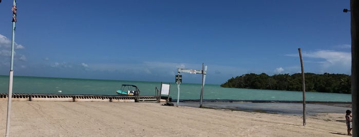 Restaurante Las Tortugas is one of Lieux qui ont plu à Maris.