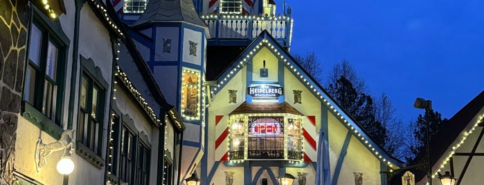 Old Heidelberg German Restaurant & Lounge is one of German.