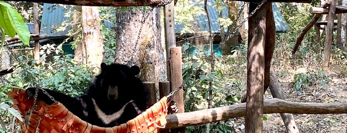 Bear Rescue Centre is one of Laos.