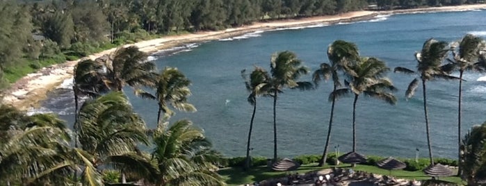 Turtle Bay Resort is one of Real World Oahu fav's.