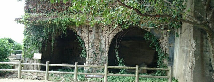 Remains of the Sangenya poison gas storehouse is one of しまなみ海道 Overseas Highway “Shimanami Kaido”.