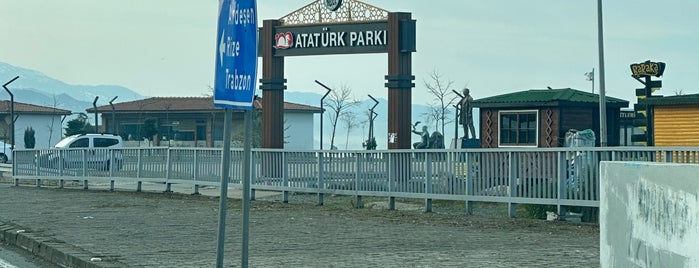 100. Yıl Atatürk Parkı is one of Lieux qui ont plu à Engin.