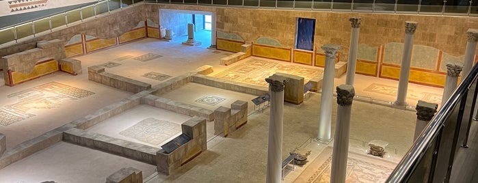 Hatay Arkeoloji Müzesi is one of สถานที่ที่ Engin ถูกใจ.