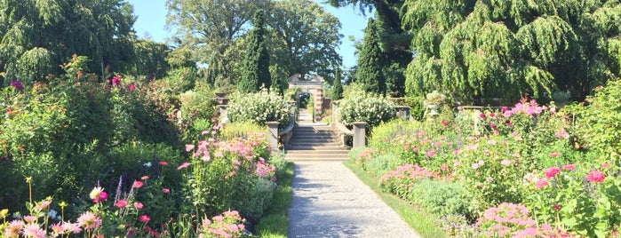 Old Westbury Gardens is one of An Amateur Botanist's Guide to Local Gardens.