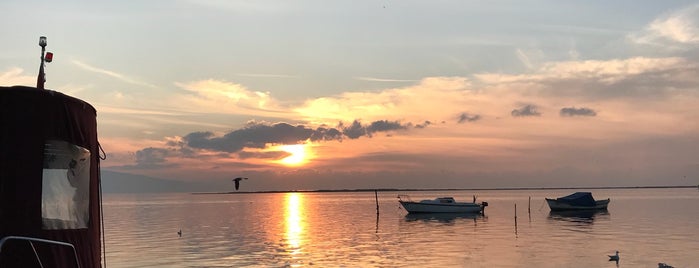 Balıkçı Barınağı is one of Lieux qui ont plu à EmrahÇ..