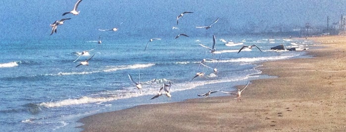 Kiryat Haim Beach is one of Хай.