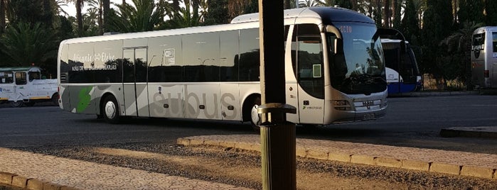 Estación de Autobuses de Elche is one of Estaciones de Bus en España.