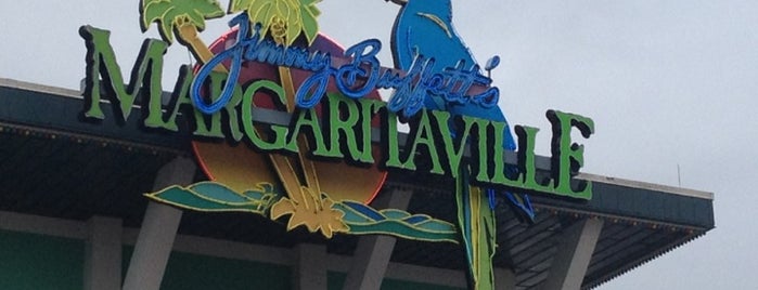 Jimmy Buffet's Margaritaville is one of Things to do in Disney.