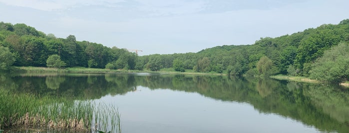 Голосіївські ставки is one of озера Києва.