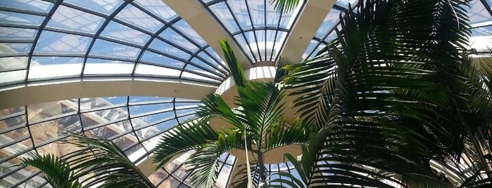 The Mirage Atrium is one of My Las Vegas.