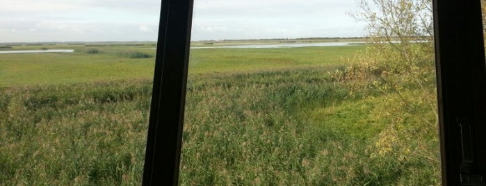 Observatiehut Zeearend is one of Flevoland.