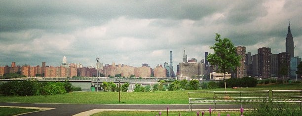 WNYC Transmitter Park is one of NYC for cats!.