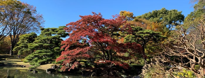 Ninomaru Pond is one of Tempat yang Disukai ぎゅ↪︎ん 🐾🦁.