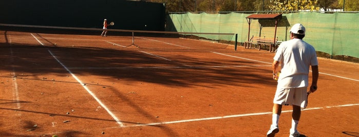 Club De Tenis La Reina is one of Tenis.
