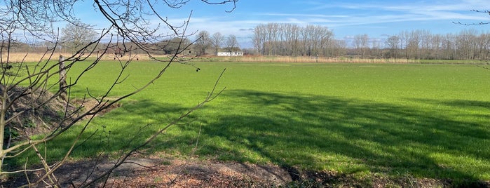 Kasteel Maurick is one of Rosmalen.