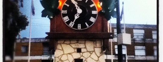 Reloj Cu-Cú is one of Lugares donde estuve en argentina.