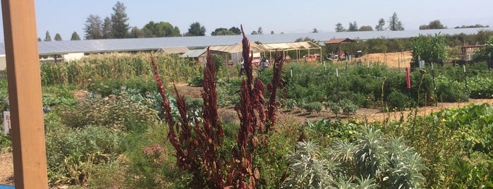 Full Circle Farm is one of ALL Farmers Markets in Bay Area.