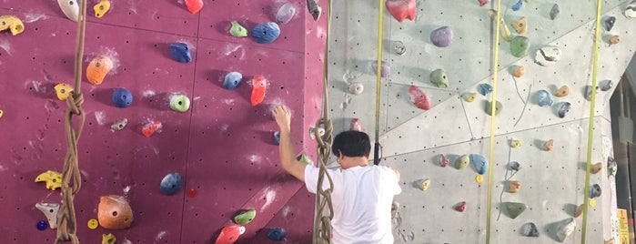 Climb Asia is one of Singapore Gyms.