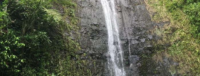 Mānoa Falls is one of Best Oahu Hikes.