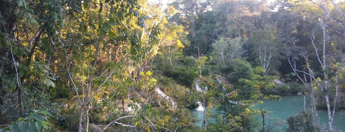 Palenque DownTown is one of Lugares favoritos de Miguel.