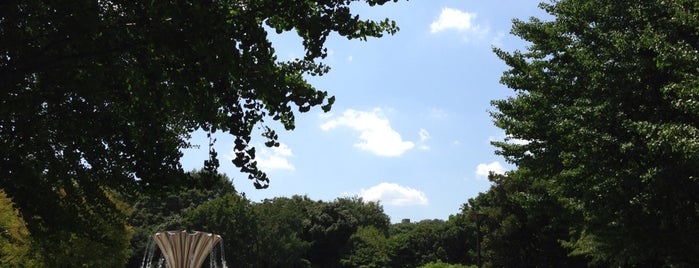 Akatsuka Park is one of Lieux qui ont plu à Rex.