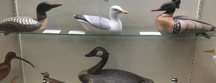Ward Museum of Wildfowl Art is one of places I want2 visit with kids !.