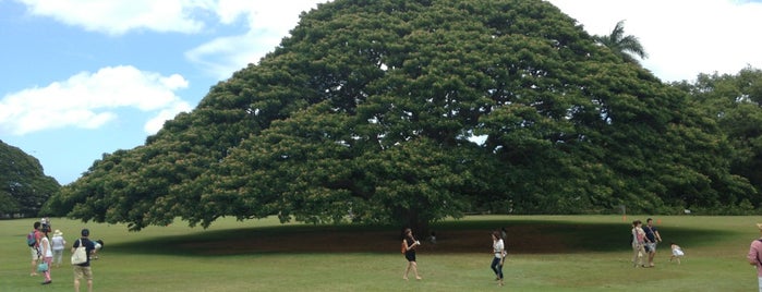 Moanalua Botanical Gardens is one of 니가 가라~ Hawaii~.