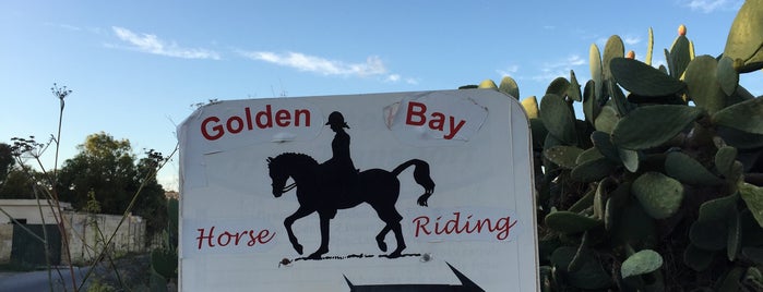 Golden Bay Horse Riding is one of Malta.