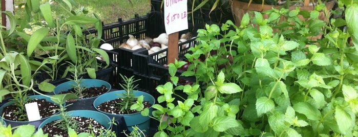 Myrtle Avenue Farm Stand is one of Fort Greene.