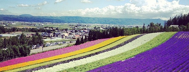 Farm Tomita is one of Hokkaido.