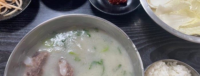 화성식당 is one of 제주식당.