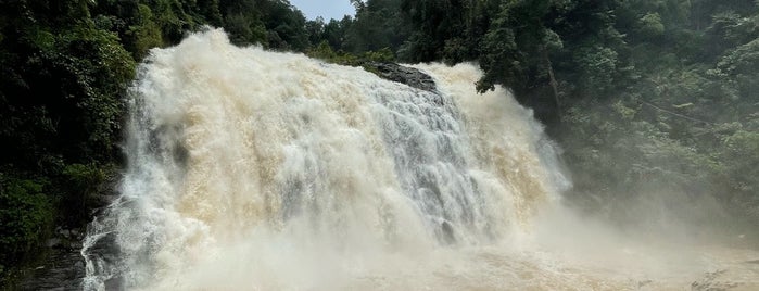 Abbey Falls is one of Coorg.