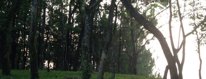Gunung Pancar Sentul is one of RizaL’s Liked Places.