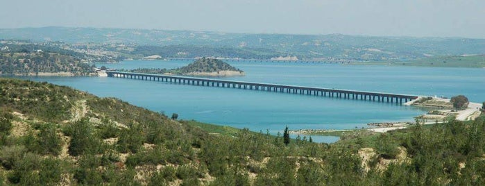 Çatalan Köprüsü is one of Lieux qui ont plu à Nalan.