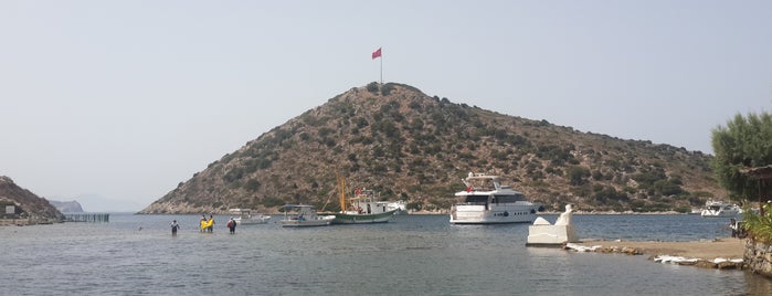 Gümüşlük Karafaki Restorant is one of Tempat yang Disukai Nalan.