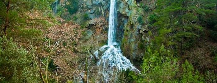 Bahçecik yaylası is one of Tempat yang Disukai Nalan.