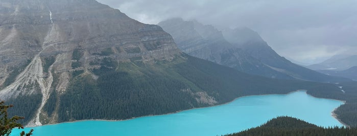 Peyto Lake is one of Canada.