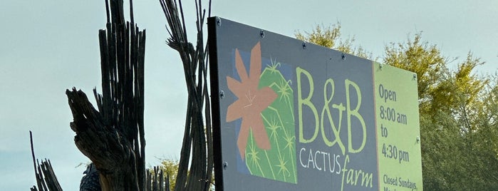 B&B Cactus Farm is one of Arizona 2014.