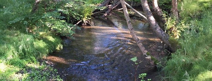 Chester Creek South Fork is one of Garyさんのお気に入りスポット.