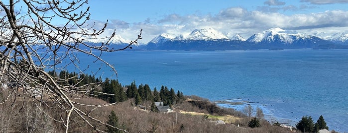Homer Alaska Halibut Fishing Capital Of The World is one of Good spots for Tourists.