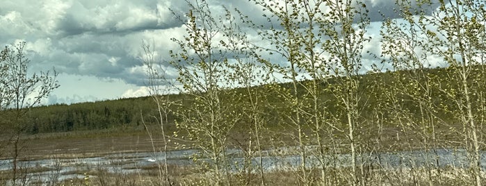Potter Marsh Bird Sanctuary is one of alaska.