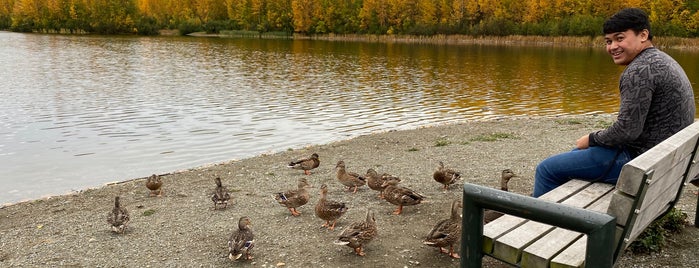 Cheney Lake Park is one of Locais salvos de Kimmie.