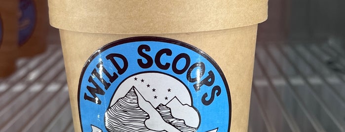 Wild Scoops Test Kitchen & Scoop Shop is one of Lieux qui ont plu à Jay.